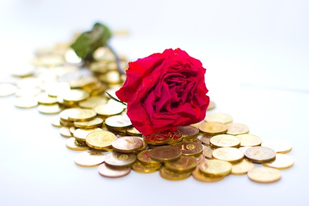 Rose in moneyの写真素材