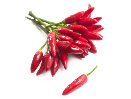 small red chilliの写真素材