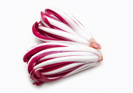 Radicchio Trevigianoの写真素材