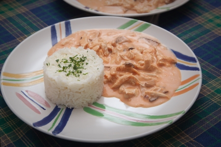 rice with chicken and sauceの写真素材
