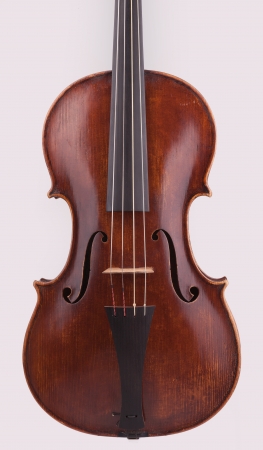Violaの写真素材
