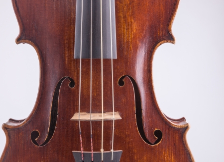 Viola in closeup shot の写真素材