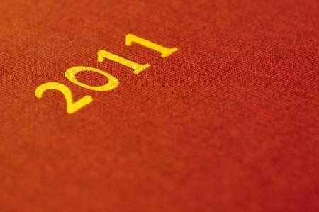 2011 embroidery (yellow and red)の写真素材