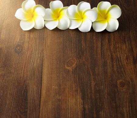 colorful flower on wood plate with sun rayの写真素材