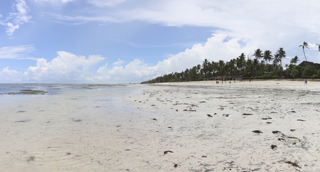 low tide in Zanzibarの写真素材