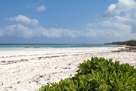 Dream beach on Zanzibar, Tanzaniaの写真素材