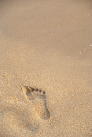 A footstep on the beach in  the eveningの写真素材