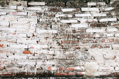 This old brick wall in the temple