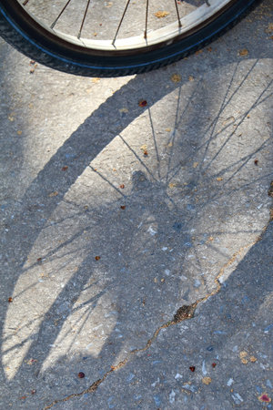 Shadow of bike wheel on cement streetの写真素材