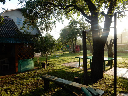 At dawn in the gardenの写真素材