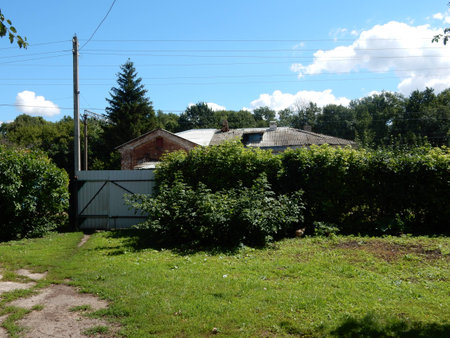 Fence of greeneryの写真素材