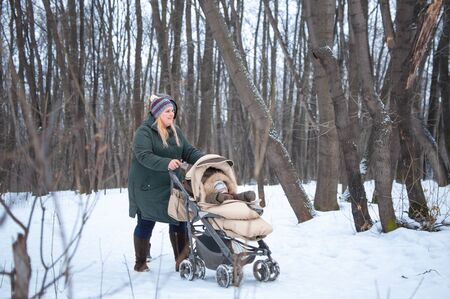 A mother and a baby in a stroller walk in the park in winter.の写真素材