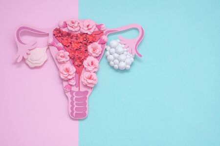 Concept polycystic ovary syndrome, PCOS. Copy space, women reproductive systemの写真素材