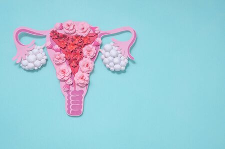 Concept polycystic ovary syndrome, PCOS. Paper art, awareness of PCOS, image of the female reproductive system, copy space for textの写真素材