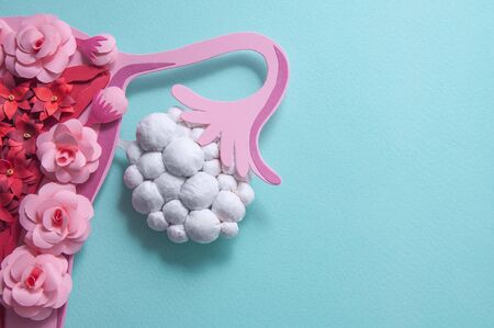 Concept polycystic ovary syndrome, PCOS. Paper art, awareness of PCOS, image of the female reproductive systemの写真素材