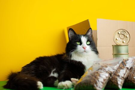 The concept of delivering pet food. Contactless delivery during quarantineの写真素材