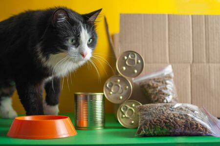 The concept of delivering pet food. Contactless delivery during quarantineの写真素材