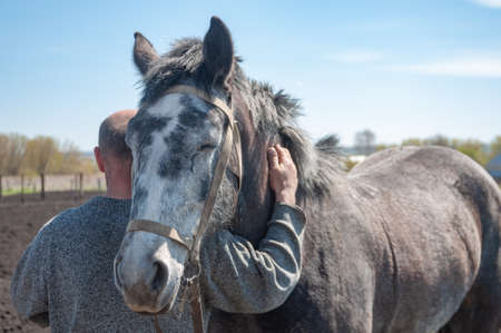 A horse hugging the owner. The horses attachment to the man.の写真素材