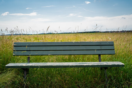 Old green wooden bench in the natureの写真素材