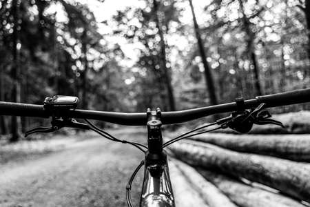 View of the steering wheel from the electric mountain bike in the forest with trees in front, forest...