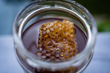 Homemade organic honey with beehive in a jarの写真素材