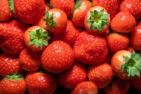 Red strawberries with green leaves as a backgroundの写真素材