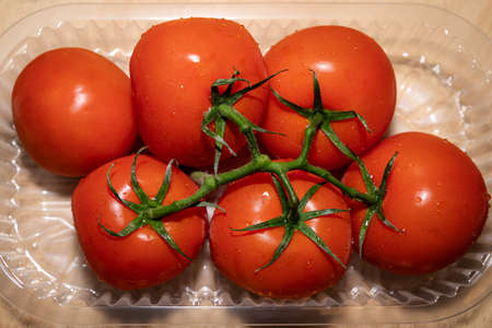 Red tomatoes with water drops in a plastic packagingの写真素材
