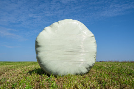 Wrapped bale of hay in the field with blue sky in the backgroundの写真素材