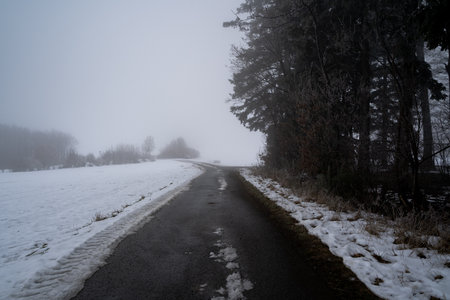 Countryroad among trees and snowy fields on a foggy morning in winterの写真素材