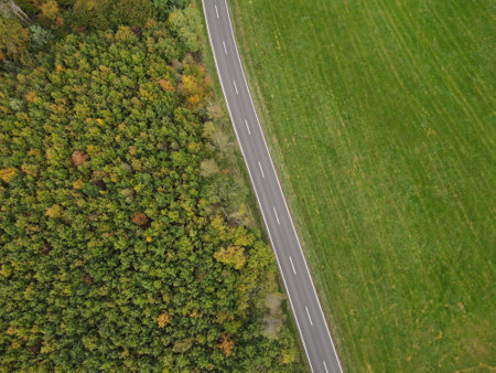 View from above of a country road between trees and grass in autumnの写真素材