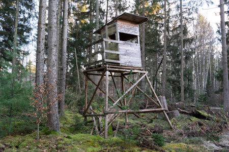 Wooden hunters perch in the forestの写真素材