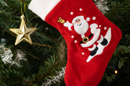 Red sock with santa claus on christmas treeの写真素材