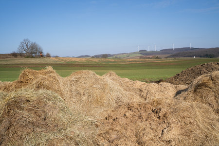 Manure heaps in the landscape for fertilizing agricultural fieldsの写真素材