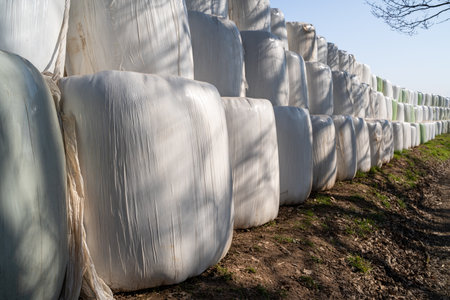 Many wrapped and stacked hay bales on the side of a country road in springの写真素材