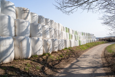 Country road in spring with wrapped bales of hay on the sideの写真素材