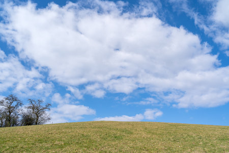 Grass hill in the landscape with a blue cloudy sky on a sunny day in springの写真素材