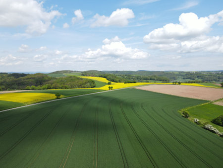 Aerial view of a blooming landscape with growing wheat field, yellow canola field, plowed arable land with soil, trees, an asphalt road and a blue nice sky with white clouds in spriの写真素材