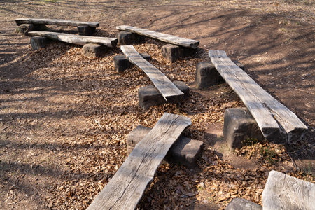 Benches from halved logs in the forestの写真素材
