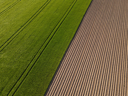 View from above of green crop field and plowed arable land with soil in springの写真素材