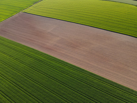 Green growing crop fields and plowed agricultural land from above in springの写真素材