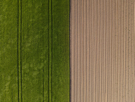 Drone view of half wheat field and half plowed agricultural land with soilの写真素材