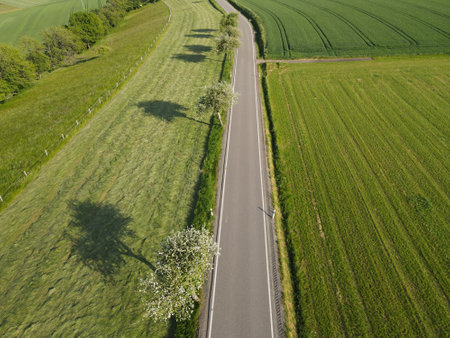 Aerial view of a long asphalt road between grass and trees in the landscapeの写真素材