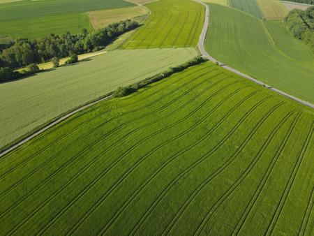 Aerial view of many green growing agriculture fields with wheat, barley and rye in springtimeの写真素材