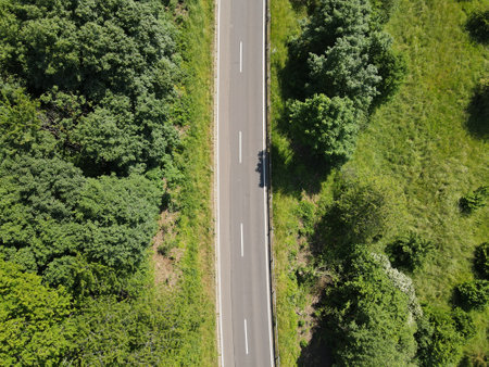 Aerial view of a rural road with white stripes between trees and green grass in the landscapeの写真素材