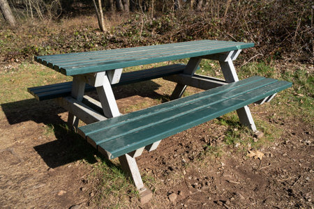 Green bench with a table in the park on a sunny day in spring