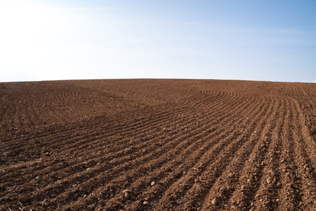 Plowed farmland with brown soil and a blue sunny skyの写真素材
