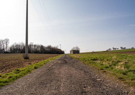 Gravel road between agricultural fields on a sunny spring dayの写真素材