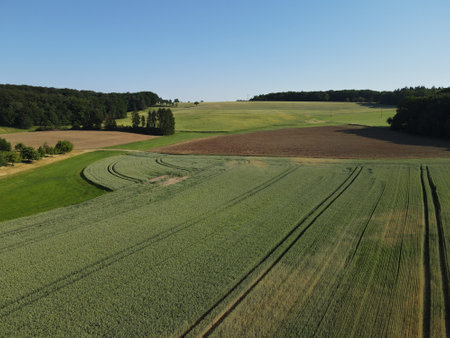Aerial view of a farmland with green crop fields , plowed fields with dirt, trees and a nice blue sky in springtimeの写真素材