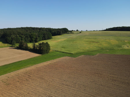 Landscape with agriculture fields, trees and a blue sunny skyの写真素材