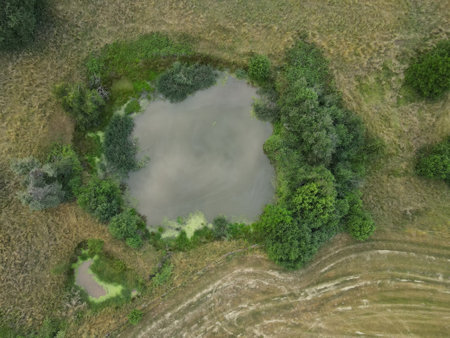 Aerial view of a water hole for animals in the landscapeの写真素材